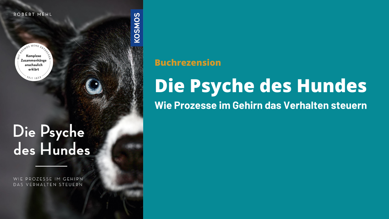 Buchrezension «Die Psyche des Hundes» - Lernen mit Hund