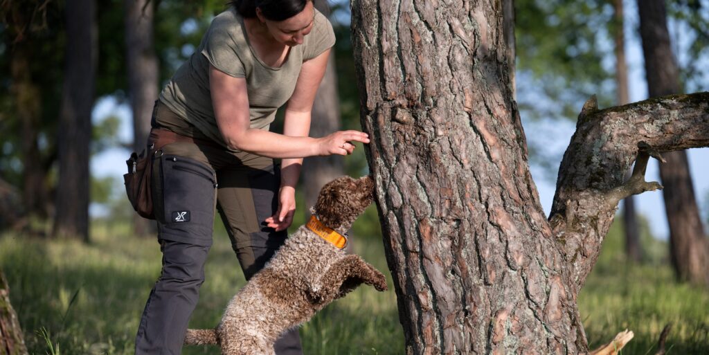 Anna Weber Spürhundetraining am Baum