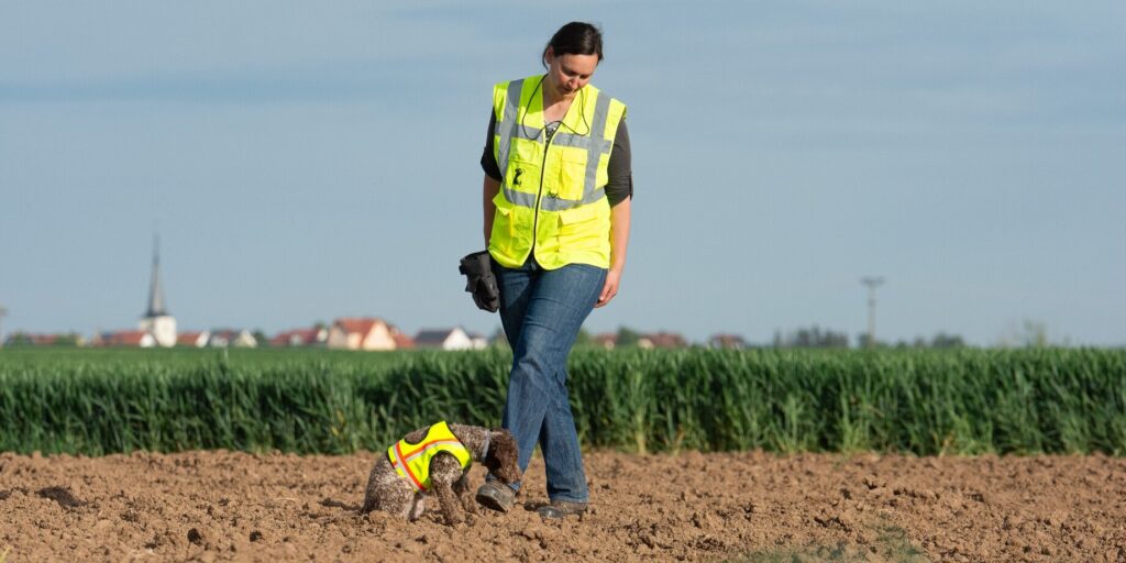 Anna Weber Spürhundetraining